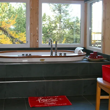 Hotel Alpenpark 3*